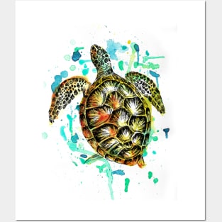 Sea Turtle Image Posters and Art